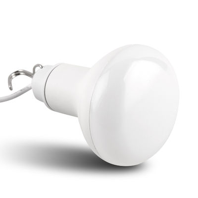 Powerful Bright Outdoor LED Light Bulbs Lamp 10W With 120° Beam Angle
