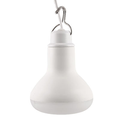 Powerful Bright Outdoor LED Light Bulbs Lamp 10W With 120° Beam Angle